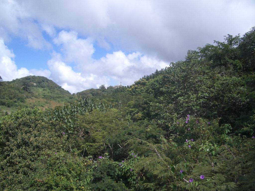 Wolken über den Magroven